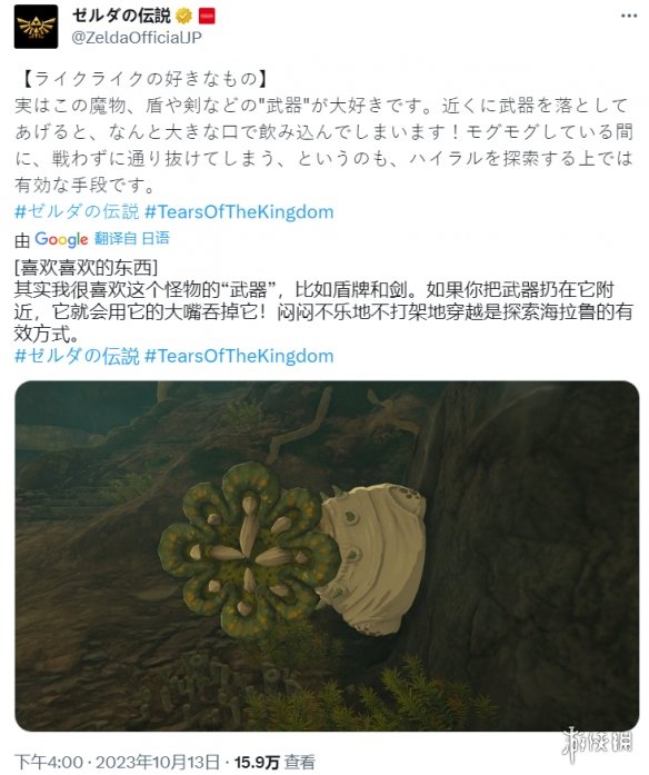  《塞尔达传说:王国之泪》游戏新闻更新!避战莱克莱克 新闻动态 第2张