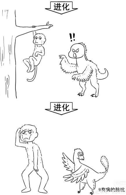 v50文案 综合内容 第4张
