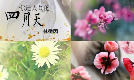  网络用语人间四月天是什么梗 综合内容 第1张