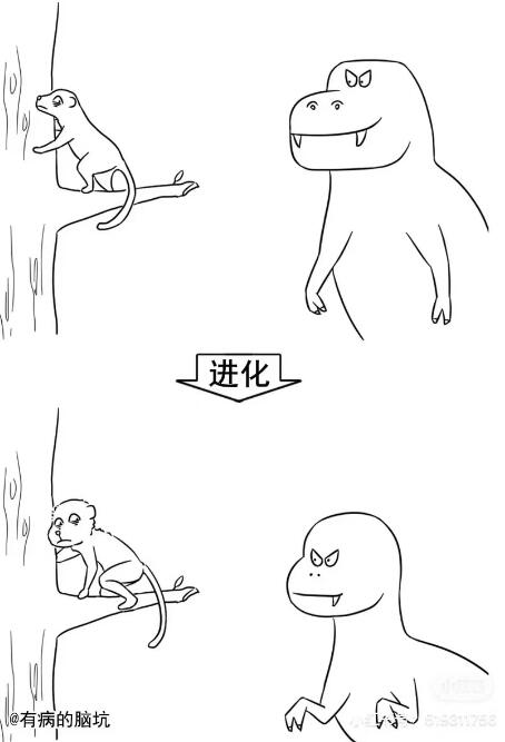 v50文案 综合内容 第3张