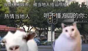 《抖音》huh猫和山羊无水印高清表情包一览 综合内容 第7张