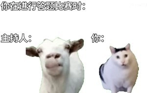  《抖音》huh猫和山羊无水印高清表情包一览 综合内容 第5张