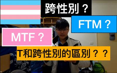  网络用语mtf是什么梗 综合内容 第1张