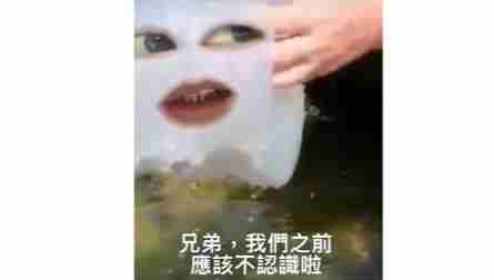  网络用语水母迷因是什么梗 综合内容 第1张