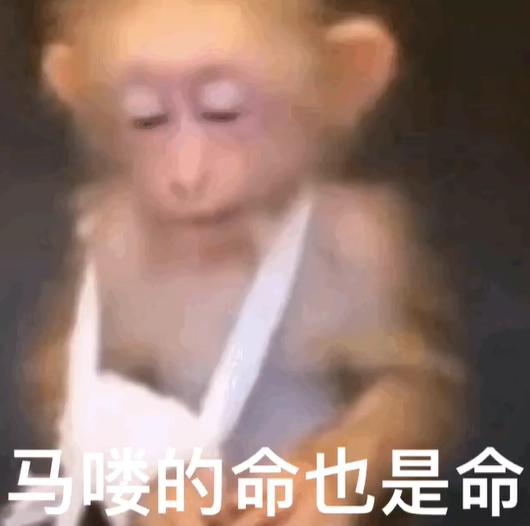  《抖音》吗喽的命也是命梗图搞笑无水印表情包分享 综合内容 第9张