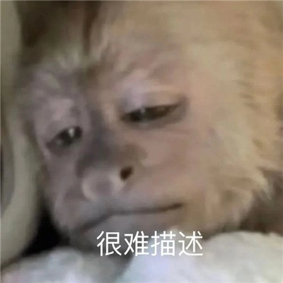  《抖音》吗喽搞笑表情包无水印分享 综合内容 第6张