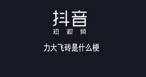  网络用语力大砖飞是什么梗 综合内容 第1张