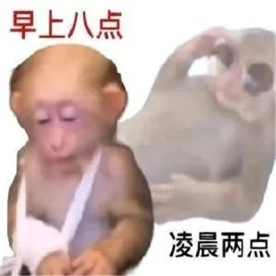  《抖音》吗喽搞笑表情包无水印分享 综合内容 第1张