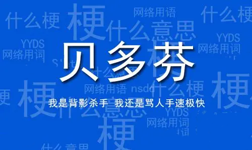  网络用语电竞贝多芬是什么梗 综合内容 第1张