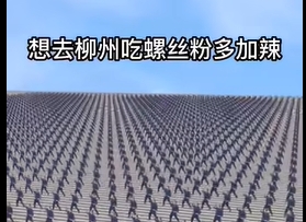  《抖音》表姑在温州搞批发  堂哥在沧州把货拉是什么歌 新闻动态 第1张