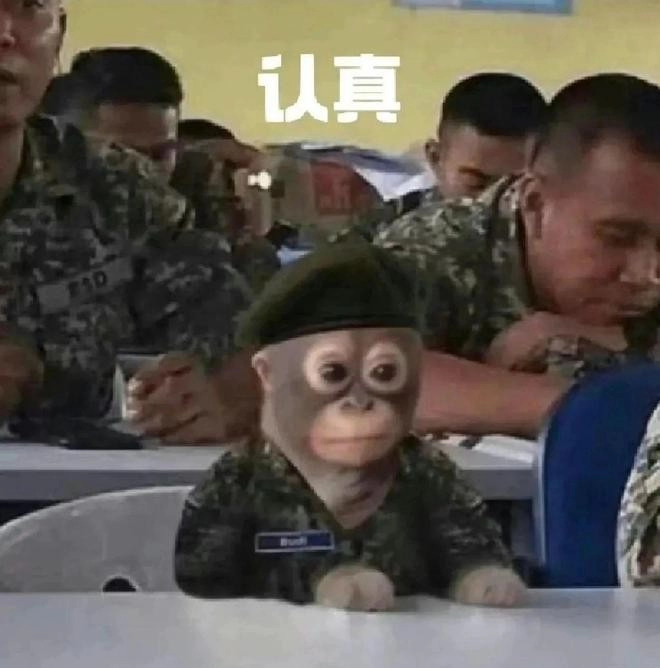  《抖音》吗喽搞笑表情包无水印分享 综合内容 第10张