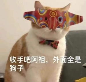  《抖音》收手吧阿祖搞笑高清无水印表情包分享 综合内容 第5张