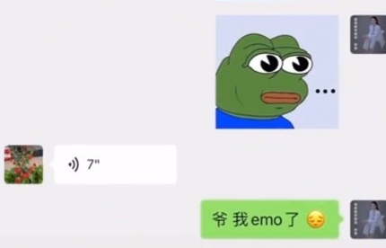  网络用语鹅毛了是什么梗 综合内容 第1张