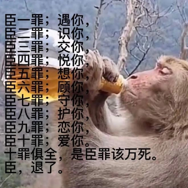  《抖音》吗喽搞笑表情包无水印分享 综合内容 第7张