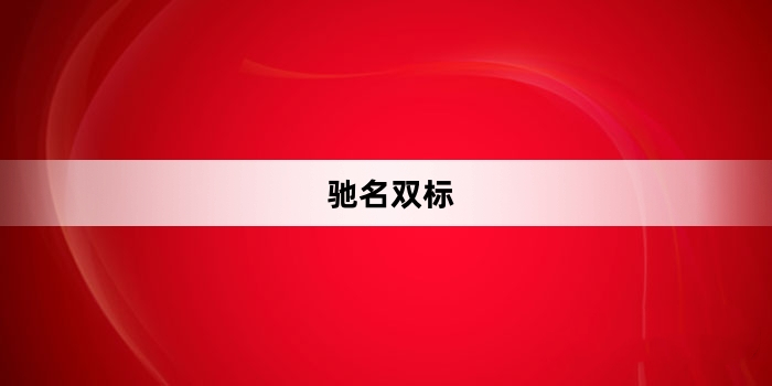  网络用语驰名双标是什么梗 综合内容 第1张