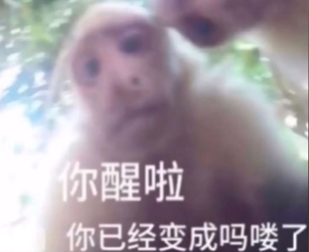  网络用语吗喽是什么梗 综合内容 第1张