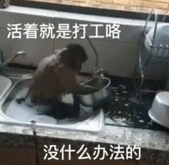  《抖音》吗喽的命也是命梗图搞笑无水印表情包分享 综合内容 第7张