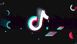  《抖音》树新蜜蜂是什么梗 综合内容 第1张