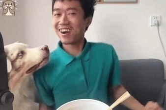  《抖音》王甜心吃饺子表情包gif无水印高清一览 综合内容 第7张