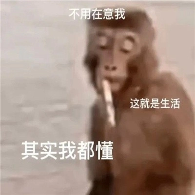  《抖音》吗喽搞笑表情包无水印分享 综合内容 第5张