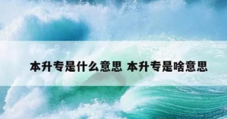  网络用语本升专是什么梗 综合内容 第1张