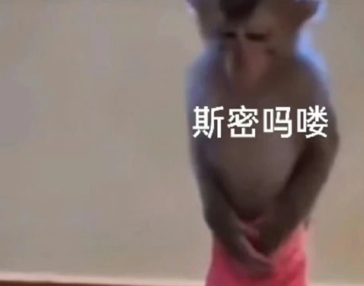  《抖音》吗喽的命也是命梗图搞笑无水印表情包分享 综合内容 第6张