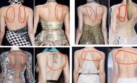  网络用语蝴蝶背是什么梗 综合内容 第1张