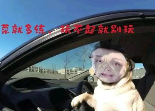  《抖音》菜就多练梗图无水印表情包下载 综合内容 第4张