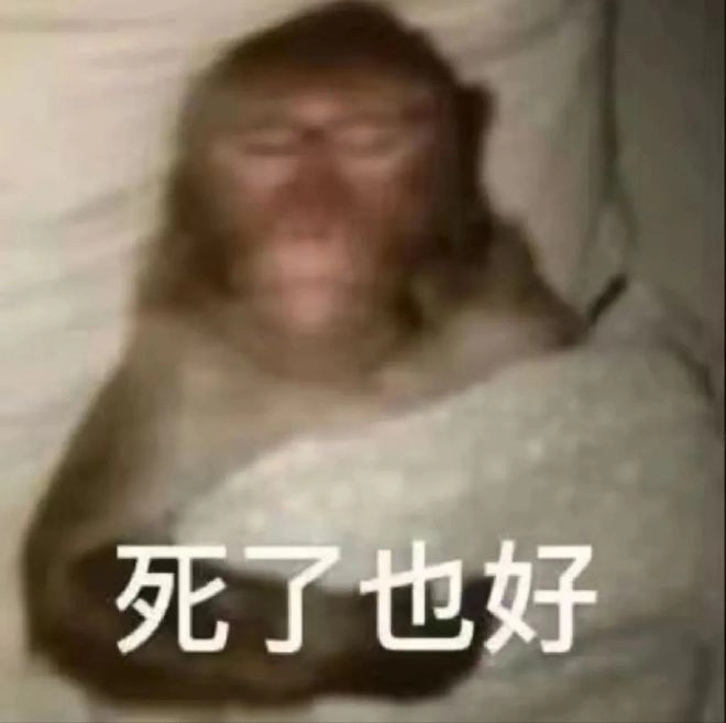  《抖音》吗喽搞笑表情包无水印分享 综合内容 第9张