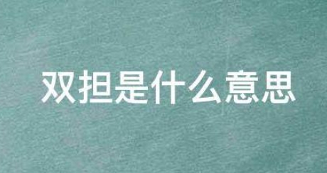  网络用语双担是什么梗 综合内容 第1张
