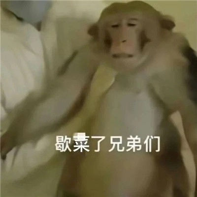  《抖音》吗喽搞笑表情包无水印分享 综合内容 第4张