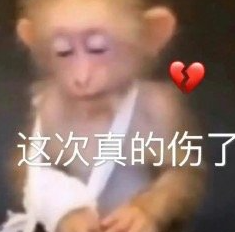  《抖音》吗喽的命也是命高清表情包汇总一览 新闻动态 第4张
