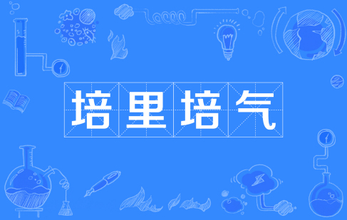  网络用语培里培气是什么梗 综合内容 第1张