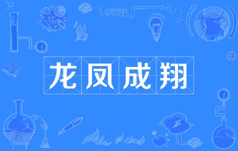  网络用语龙凤成翔是什么梗 综合内容 第1张