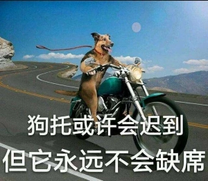  《抖音》狗托高清无水印表情包下载 综合内容 第4张