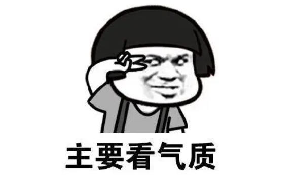  网络用语主要看气质是什么梗 综合内容 第1张