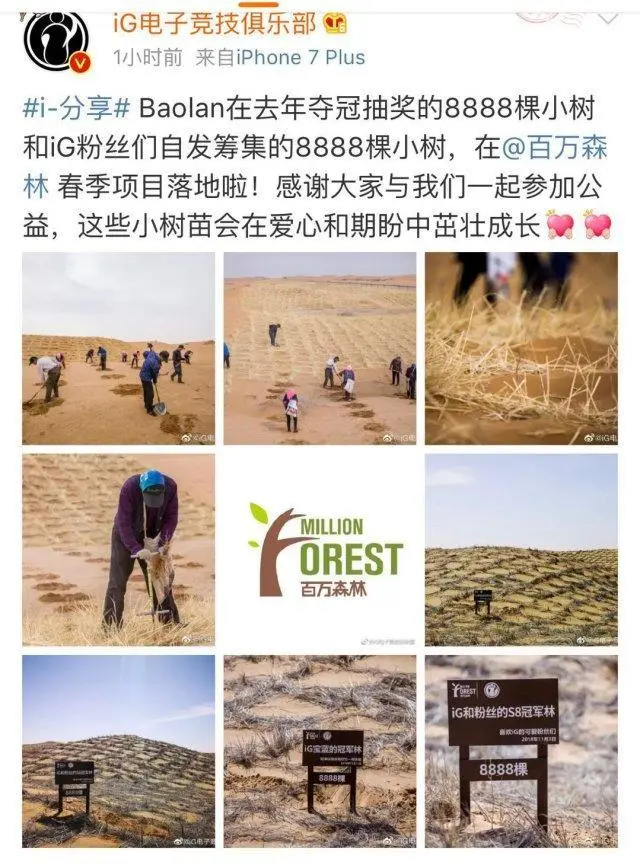  网络用语8888冠军林是什么梗 综合内容 第1张