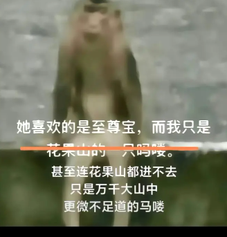  《抖音》吗喽的命也是命高清表情包汇总一览 新闻动态 第2张