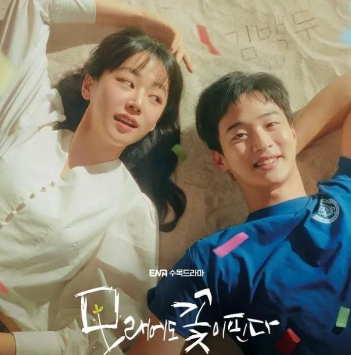  韩剧《沙之花也有春天》最新追剧日历分享 新闻动态 第1张