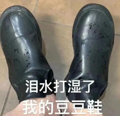  网络用语泪水打湿我的豆豆鞋是什么梗 综合内容 第1张