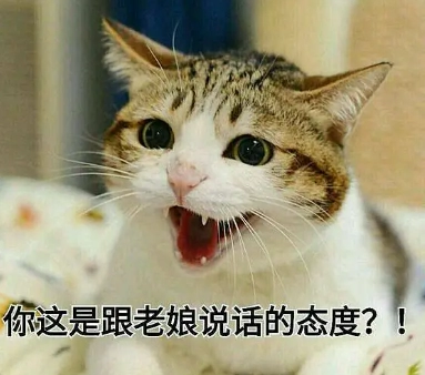  网络用语女王你好痞是什么意思 综合内容 第1张