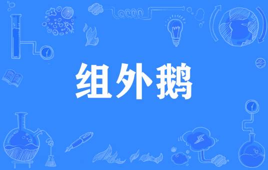  网络用语组外鹅是什么梗 综合内容 第1张