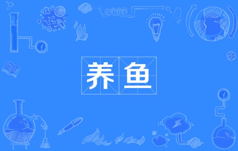  网络用语养鱼是什么梗 综合内容 第1张