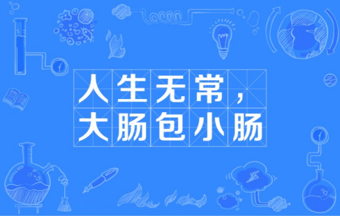  网络用语人生无常大肠包小肠是什么梗 综合内容 第1张