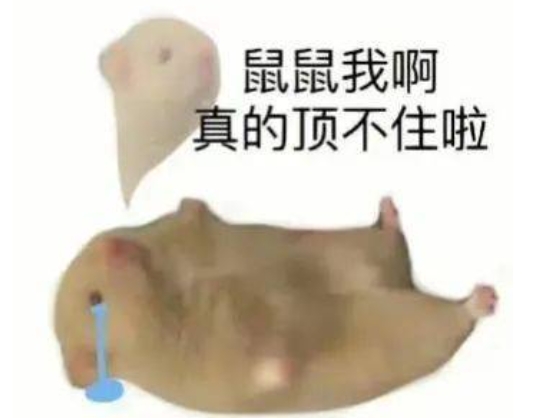  网络用语鼠鼠我啊是什么梗 综合内容 第1张