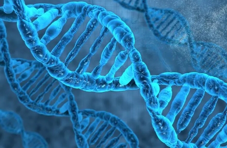  网络用语我的dna动了是什么梗 综合内容 第1张