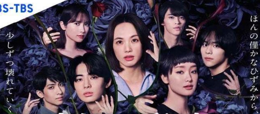  日剧《夫妇的秘密》讲述了什么故事 综合内容 第1张