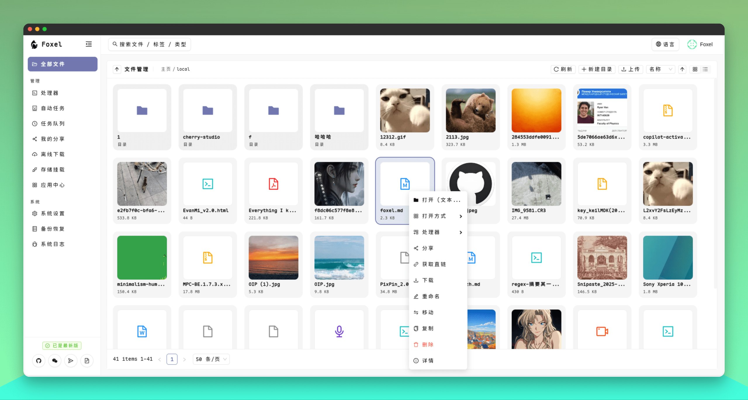 Foxel - 一个面向个人和团队的高度可扩展的私有云盘解决方案