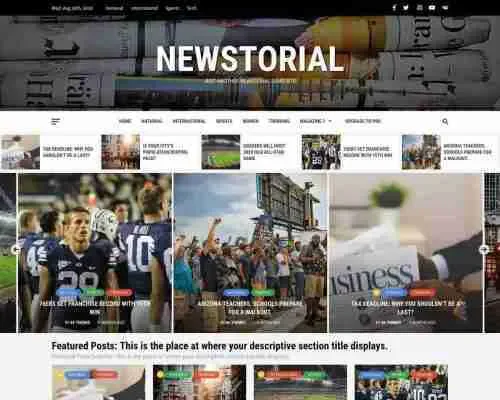 Newstorial 干净简洁的博客主题