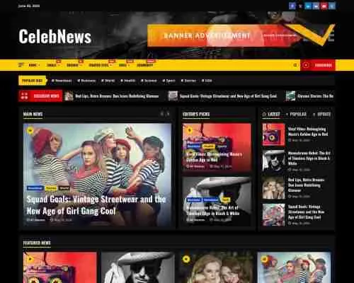 CelebNews 免费的WordPress音乐主题